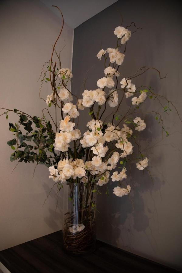 Hotel Boutique Monarca El Paraíso 外观 照片
